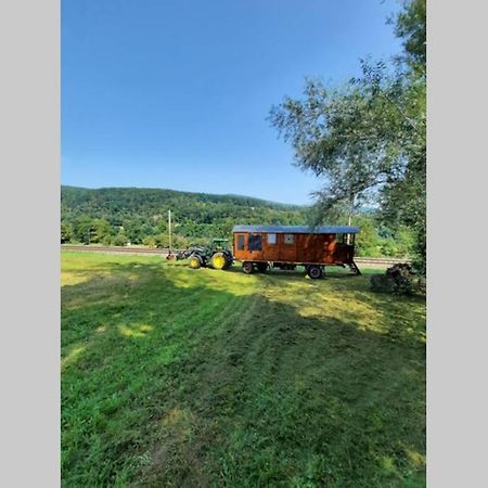 Autarkes Tiny House Mit Rheinblick Apartment Rumikon Exterior photo